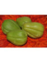 Christophine verte / chouchou / chayotte - Sechium edule