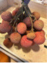 Litchi chinensis 'Kwai may pink'