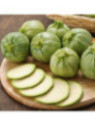 Courgette de nice ronde