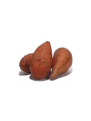 Patate douce 'Beauregard'
