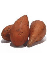 Patate douce 'Beauregard'