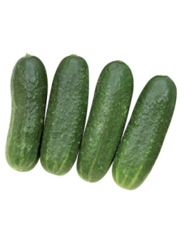 Cornichon diamant