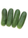 Cornichon diamant
