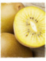 Actinidia deliciosa 'Golden delight' / Kiwi jaune / femelle