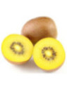 Actinidia deliciosa 'Kiw'happy' / Kiwi / femelle