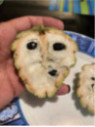 Annona squamosa - Pomme cannelle - Atemoya