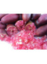 Citron caviar / Microcitrus x austalasica 'Red'