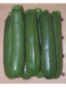 Courgette verte longue diamant