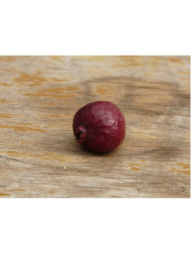 Psidium cattleianum var lucidum / Goyave Jaune