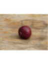 Psidium cattleianum / Goyavier fraise