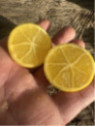 Citrofortunella / Limequat