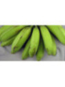 Musa Dwarf Orinoco* (bananier fruitier)