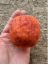 Citrus x sinensis 'Arcobal' / Oranger
