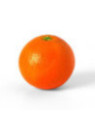 Oranger Chislett Summer - Citrus sinensis Chislett Summer Navel®