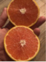 Citrus x sinensis 'Cara Cara' / Oranger