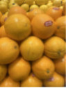 Citrus x sinensis 'Cara Cara' / Oranger