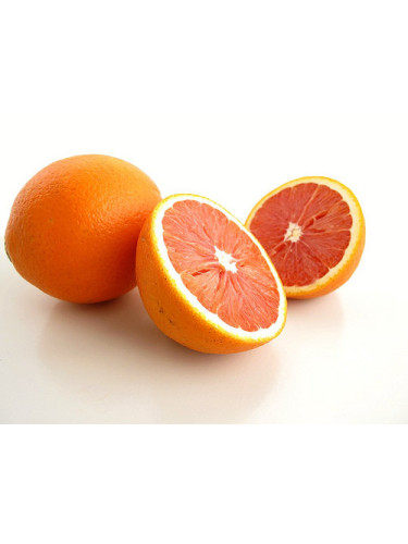 Citrus x sinensis 'Cara Cara' / Oranger