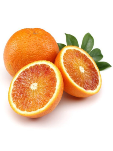 Citrus x sinensis 'Vaniglia Apirene' / Oranger