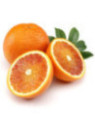 Citrus x sinensis 'Vaniglia Apirene' / Oranger