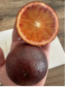 Citrus x sinensis 'Violette des vallées' / Oranger Sanguine
