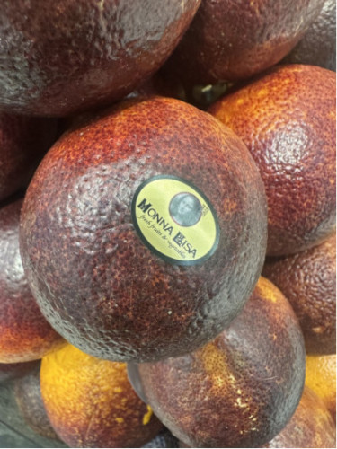 Citrus x sinensis 'Violette des vallées' / Oranger Sanguine