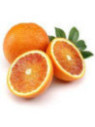 Citrus x sinensis 'Vaniglia' / Oranger