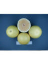 Citrus paradisi / Pomelos jaune