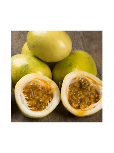 Passiflora edulis 'Panama gold' / Passiflore / Fruit de la pas.