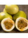 Passiflora edulis 'Panama gold' / Passiflore / Fruit de la pas.