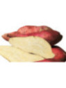 Patate douce 'Terra occitana'
