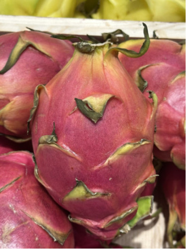 Hylocereus / Pitahaya / Fruit du dragon
