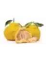 Ugli - Citrus ugli - Tangelo