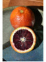 Citrus x sinensis 'Tarocco tapi' / Oranger tarocco