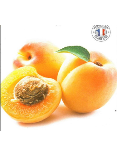 Abricotier 'Pêche de Nancy' / Prunus armeniaca