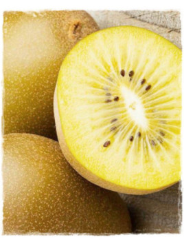 Actinidia deliciosa 'Golden delight' / Kiwi jaune / femelle