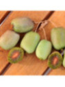 Actinidia arguta 'Ananasnaya'  / Kiwaï / femelle