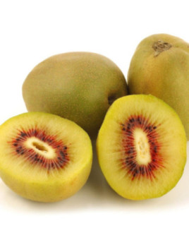 Actinidia deliciosa 'Wonder' / Kiwi / femelle