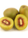 Actinidia deliciosa 'Wonder' / Kiwi / femelle