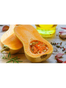 Courge butternut 'Tivano'