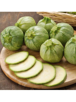 Courgette de nice ronde