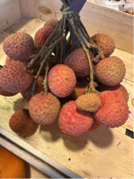 Litchi chinensis 'Kwai may pink'