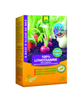 Lithothamne "Maërl" Algues marine UAB