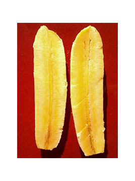 Musa 'Kokopo'* / Bananier fruitier (cycle court)