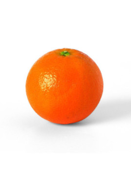 Oranger Chislett Summer - Citrus sinensis Chislett Summer Navel®