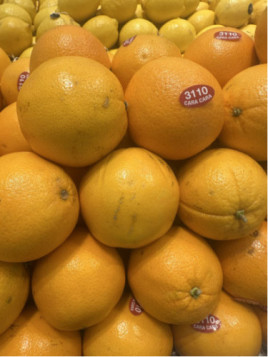 Citrus x sinensis 'Cara Cara' / Oranger