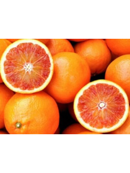 Citrus x sinensis 'Tarocco rosso' / Oranger tarocco
