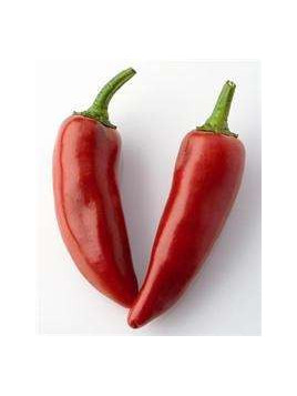 Piment d'espelette 'Gorria'