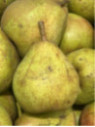 Pyrus communis 'Doyenne de comice' / Poirier