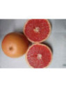 Citrus paradisi 'Rio red' / Pomelo rouge