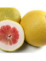Citrus paradisi 'Red blush' / Pomelo rose